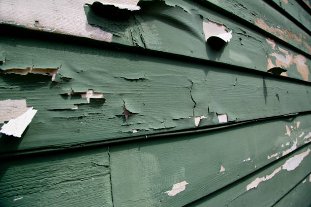 Shed Removal in Northlake, SC